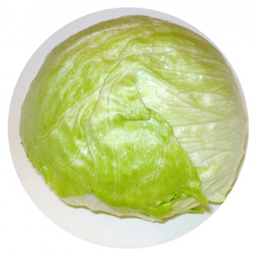 Lechuga Iceberg