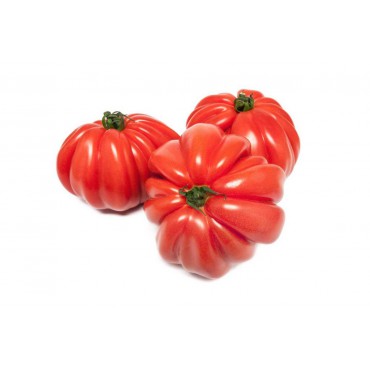 Tomates Corazon de Buey (Kg)