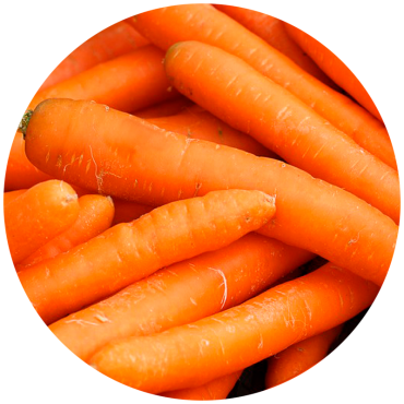 Zanahoria (kg)